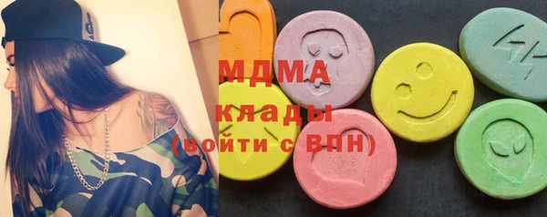 индика Волосово
