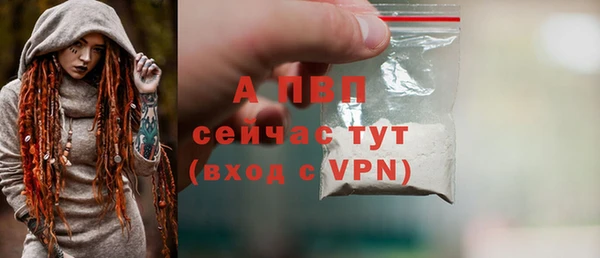 индика Волосово