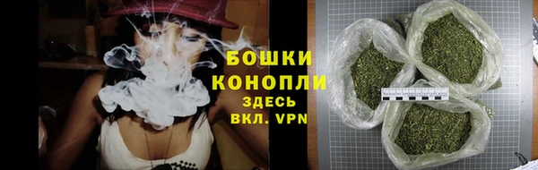 ГАЛЛЮЦИНОГЕННЫЕ ГРИБЫ Верея