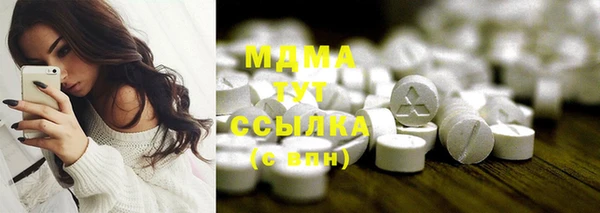 индика Волосово