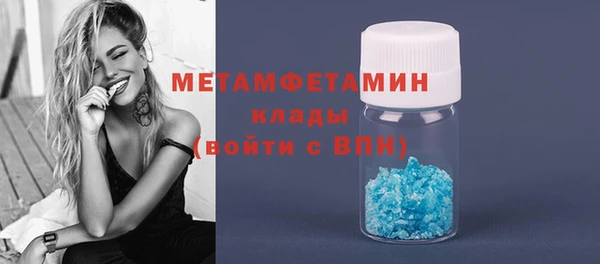 индика Волосово