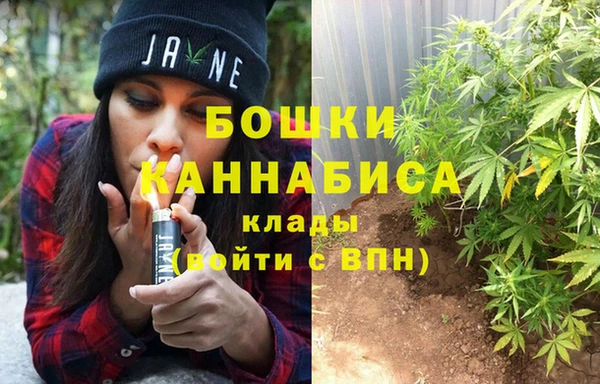 индика Волосово