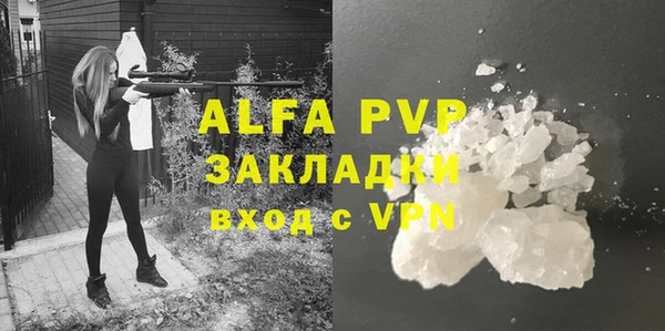 индика Волосово