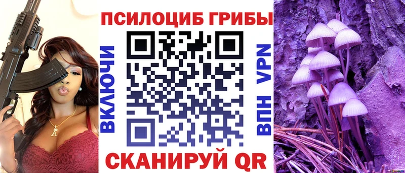 Псилоцибиновые грибы Psilocybe  mega как войти  Выкса 